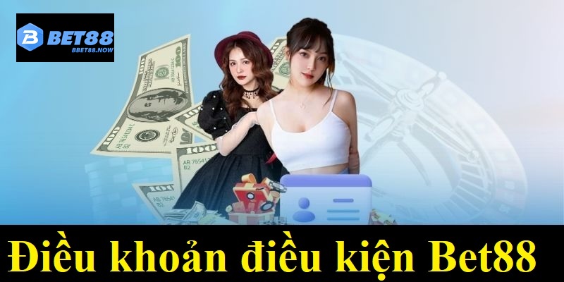 Cập nhật điều khoản mới nhất 2025 